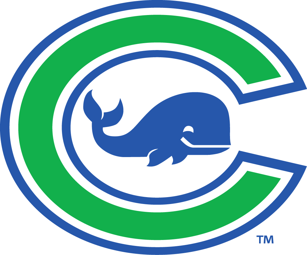 Connecticut Whale 2015-Pres Primary Logo iron on transfers for clothing